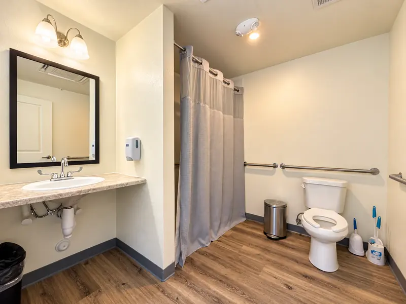 Accessible bathroom with grab bars and walk-in shower