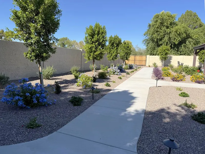 Wide concrete walking paths through desert landscaping